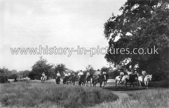 Horse Riding, Epping Forest, Essex. c.1970's